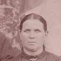 Sophia Wells (1858 - 1940) Profile